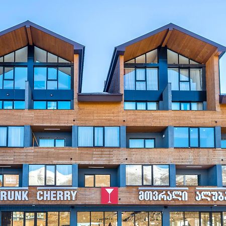 Апартаменты GVC 215 Гудаури Экстерьер фото